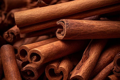 Cinnamon Extract