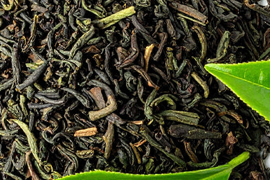 Green Tea Extract