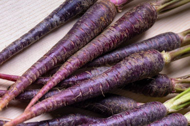 Pure Purple Carrot