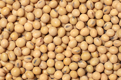 Soy isoflavones